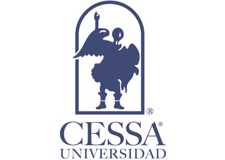 Proyectos Ejecutivos