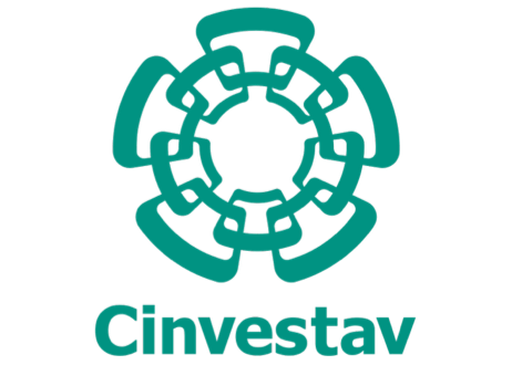 Proyectos Ejecutivos