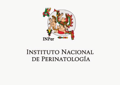 Proyectos Ejecutivos