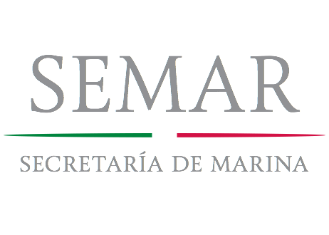 Proyectos Ejecutivos